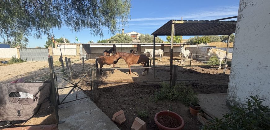 Se vende finca el puerto de santa maria