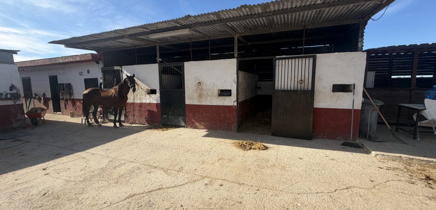 Se vende finca el puerto de santa maria
