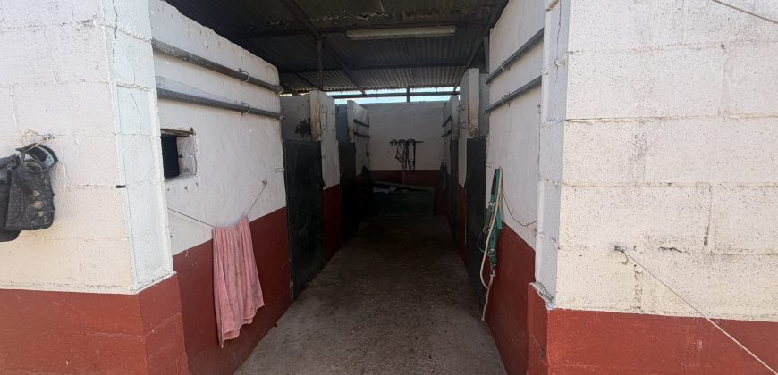 Se vende finca el puerto de santa maria