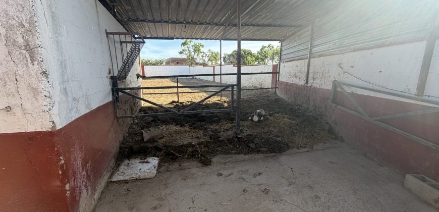 Se vende finca el puerto de santa maria